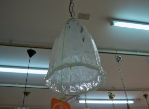 Lampadari Pescara Vetro Lavorato 40
